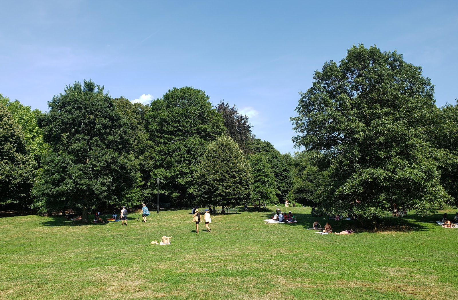 Prospect Park visitors find shade under trees. Image by Clarisa Diaz. United States, 2020. Prospect Park visitors find shade under trees. Image by Clarisa Diaz. United States, 2020.