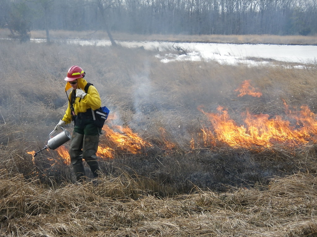 Fire biologist lights controlled burn. Image by Colby Hawkinson. United States, 2011. Fire biologist lights controlled burn. Image by Colby Hawkinson. United States, 2011.