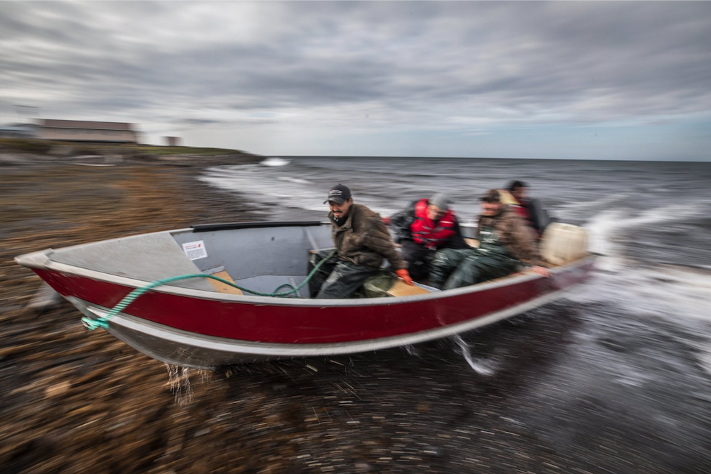 After a tough day of fishing in the swells of the northern Bering Sea, a crew returns to Savoonga on Alaska’s St. Lawrence Island. They went after halibut, but Robin Kogassagoon (shown in the bow) Derek Akeya and Walker Akeya pulled in mostly Pacific cod, now far more abundant as these waters warm. Image by Steve Ringman / The Seattle Times. United States, 2019. After a tough day of fishing in the swells of the northern Bering Sea, a crew returns to Savoonga on Alaska’s St. Lawrence Island. They went after halibut, but Robin Kogassagoon (shown in the bow) Derek Akeya and Walker Akeya pulled in mostly Pacific cod, now far more abundant as these waters warm. Image by Steve Ringman / The Seattle Times. United States, 2019.