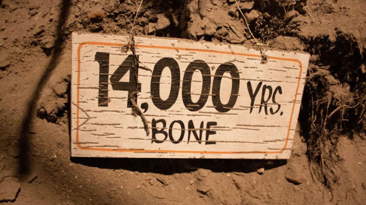 Sign inside permafrost tunnel near Fairbanks, Alaska dates a bone in the wall. Image by Amy Martin. United States, 2019. Sign inside permafrost tunnel near Fairbanks, Alaska dates a bone in the wall. Image by Amy Martin. United States, 2019.