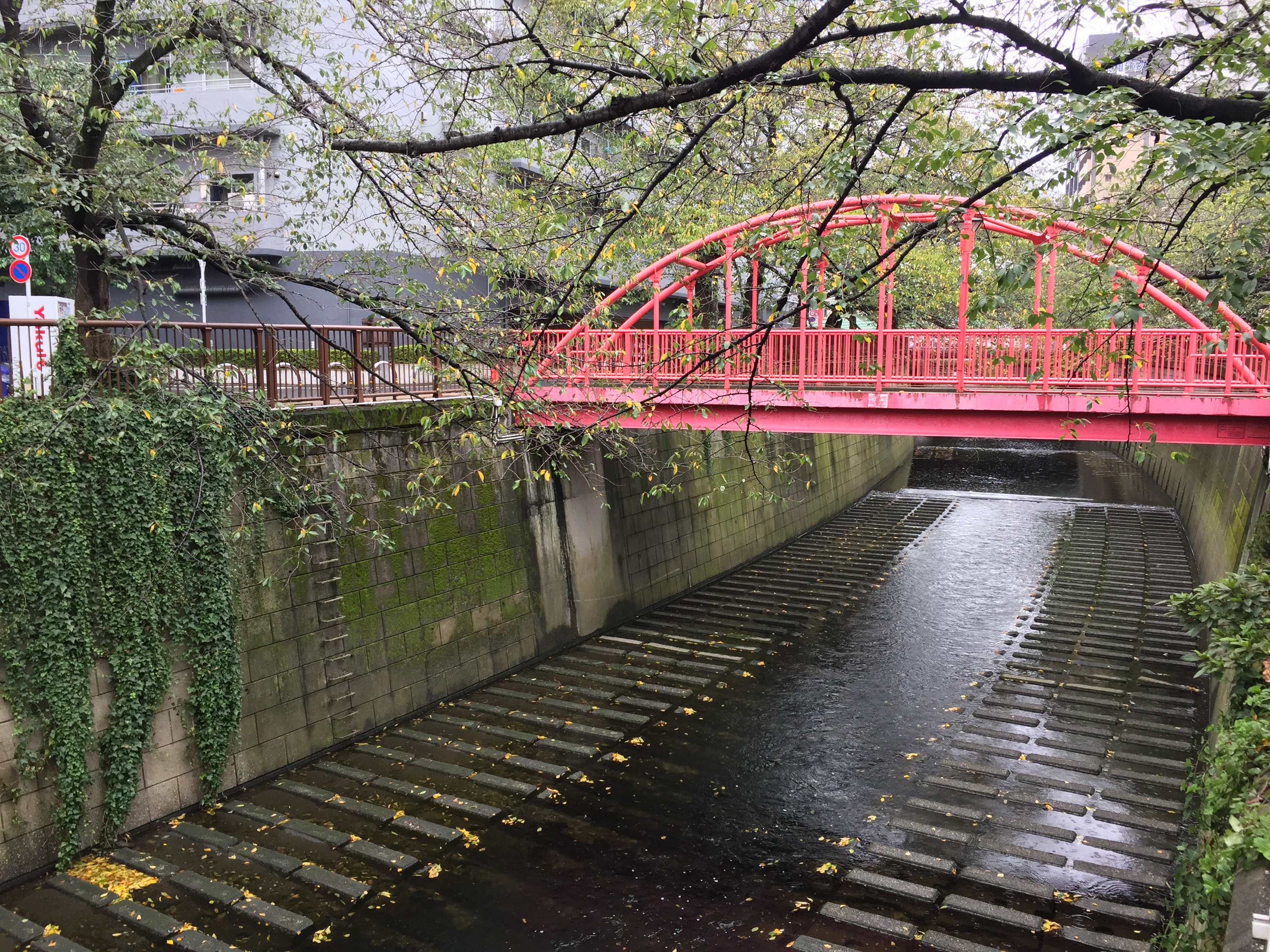 A complicated relationship with climate change and nature in Japan. A bridge over a channelized river in Naka-Meguro, Tokyo. Image by Daniel Merino. Japan, 2019. A complicated relationship with climate change and nature in Japan. A bridge over a channelized river in Naka-Meguro, Tokyo. Image by Daniel Merino. Japan, 2019.