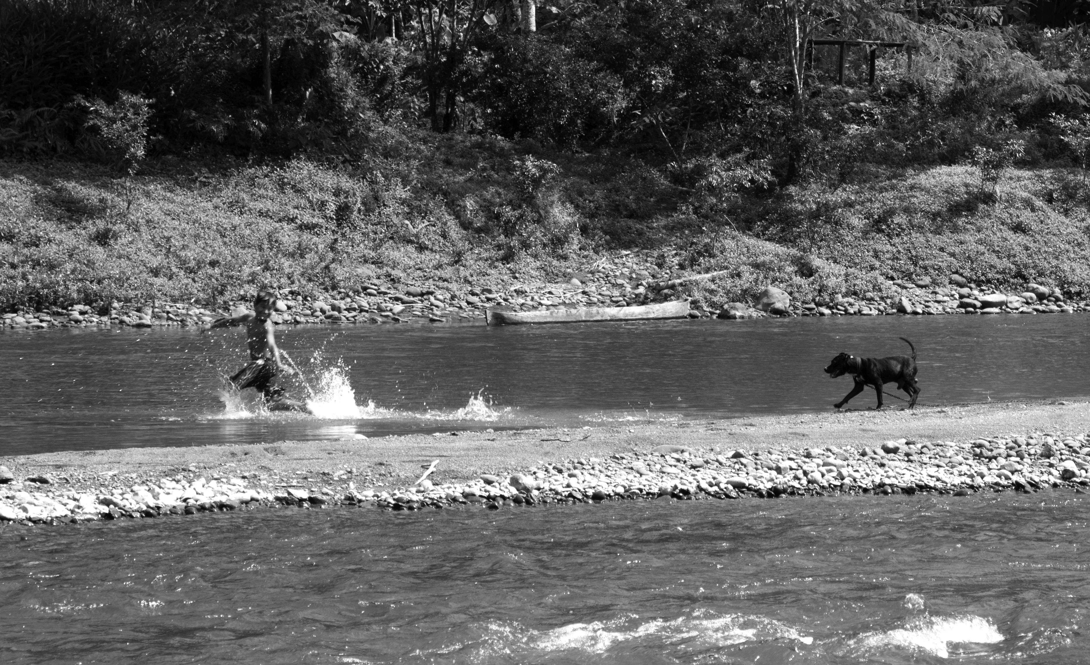 Costa Rica Illegal Deforestation Threatens Bribri Pulitzer Center