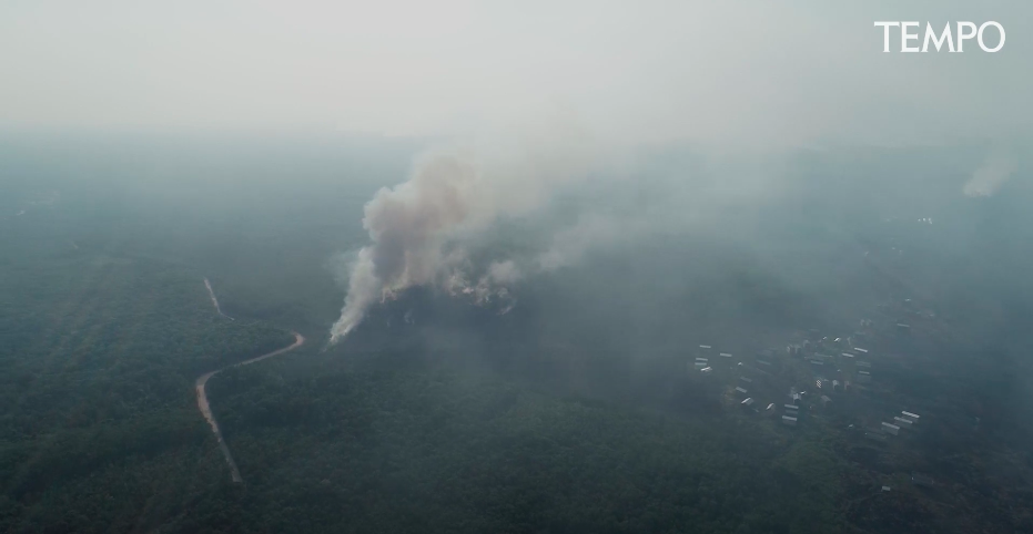 Tempo’s collaboration with Mongabay Indonesia, Betahita, Malaysiakini, and Auriga Nusantara, found traces of the involvement of a number of forestry and oil palm plantation companies in the big forest fire in 2019. Image courtesy of Tempo.co. Indonesia, undated. Media file: Plantation companies were involved in the forest fire
