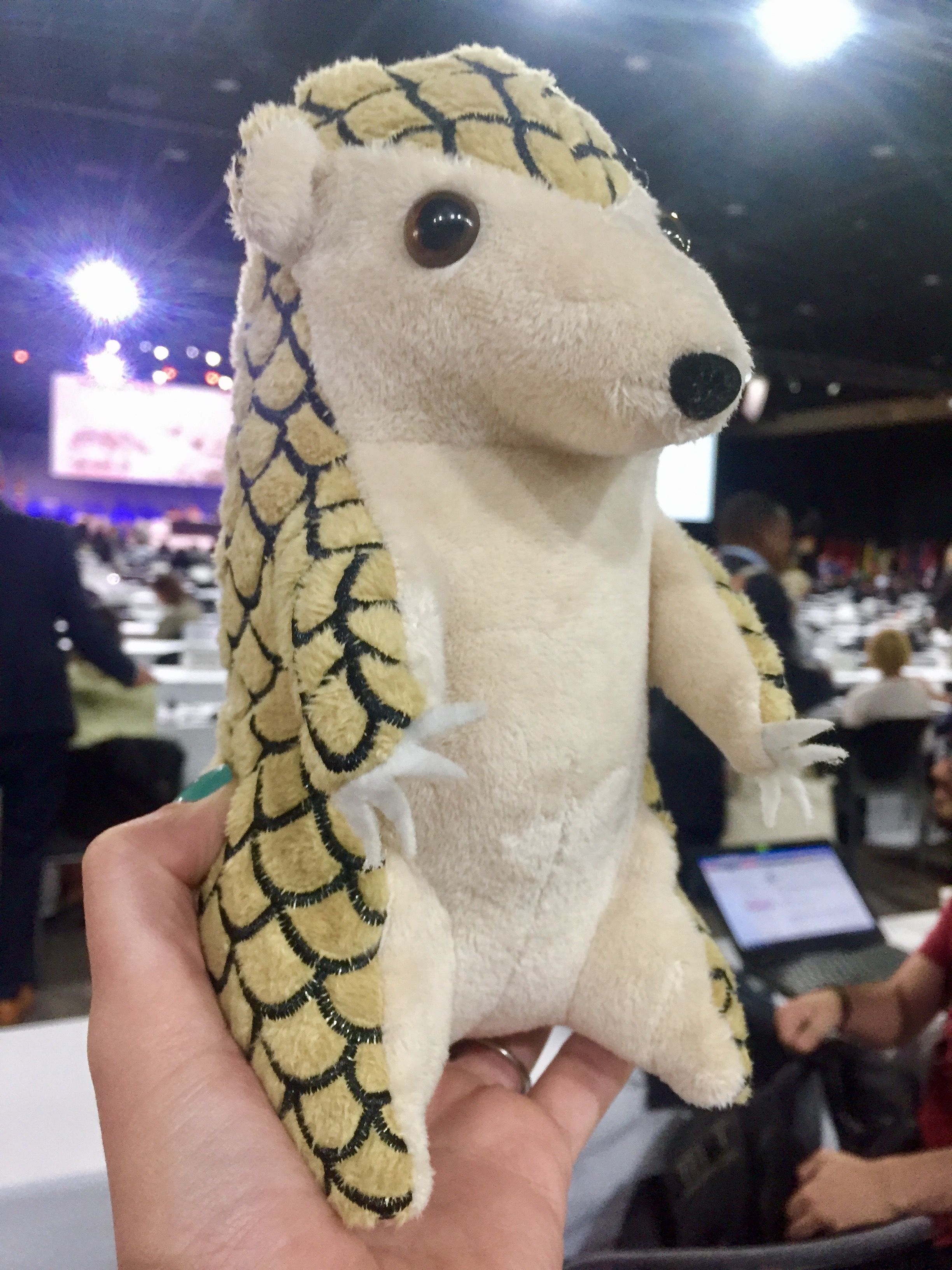 Representatives from more than 100 countries prepare to vote on pangolin protection at the Cites conference in Johannesburg. Image by Rachel Nuwer. South Africa, 2016. Representatives from more than 100 countries prepare to vote on pangolin protection at the CITES conference in Johannesburg. Image by Rachel Nuwer. South Africa, 2016.