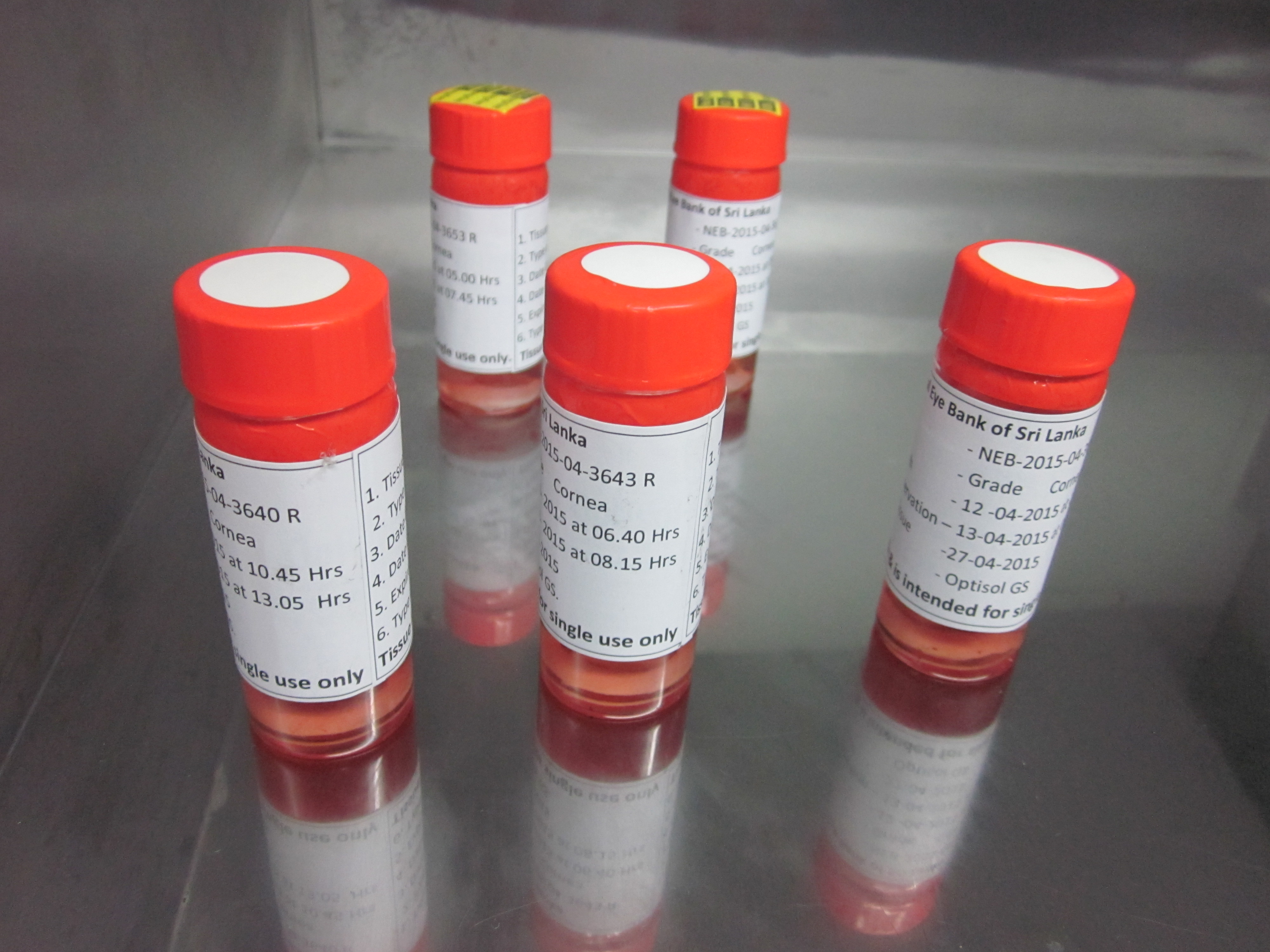 Corneas stored in a refrigerator at Sri Lanka's National Eye Bank in Colombo. Corneas must be used on a patient within about four weeks of being taken from a donor. Image by Ross Velton. Sri Lanka, 2015. Media file: corneas_at_national_eye_bank_of_sri_lanka.jpg