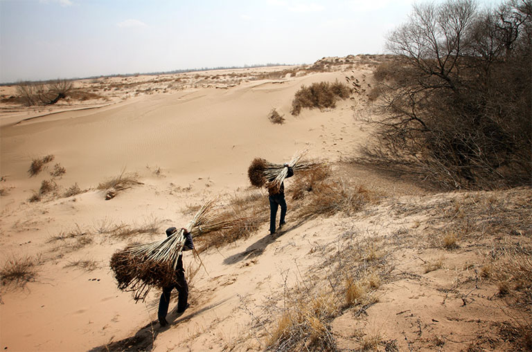 Meltdown: Climate Change and Environmental Degradation on the Tibetan ...
