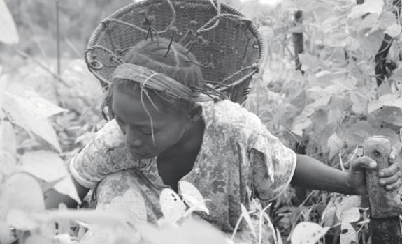 "Seeds of Hope" is one of two documentaries produced by Pulitzer Center grantees screening at the Human Rights Spotlight in St. Louis.