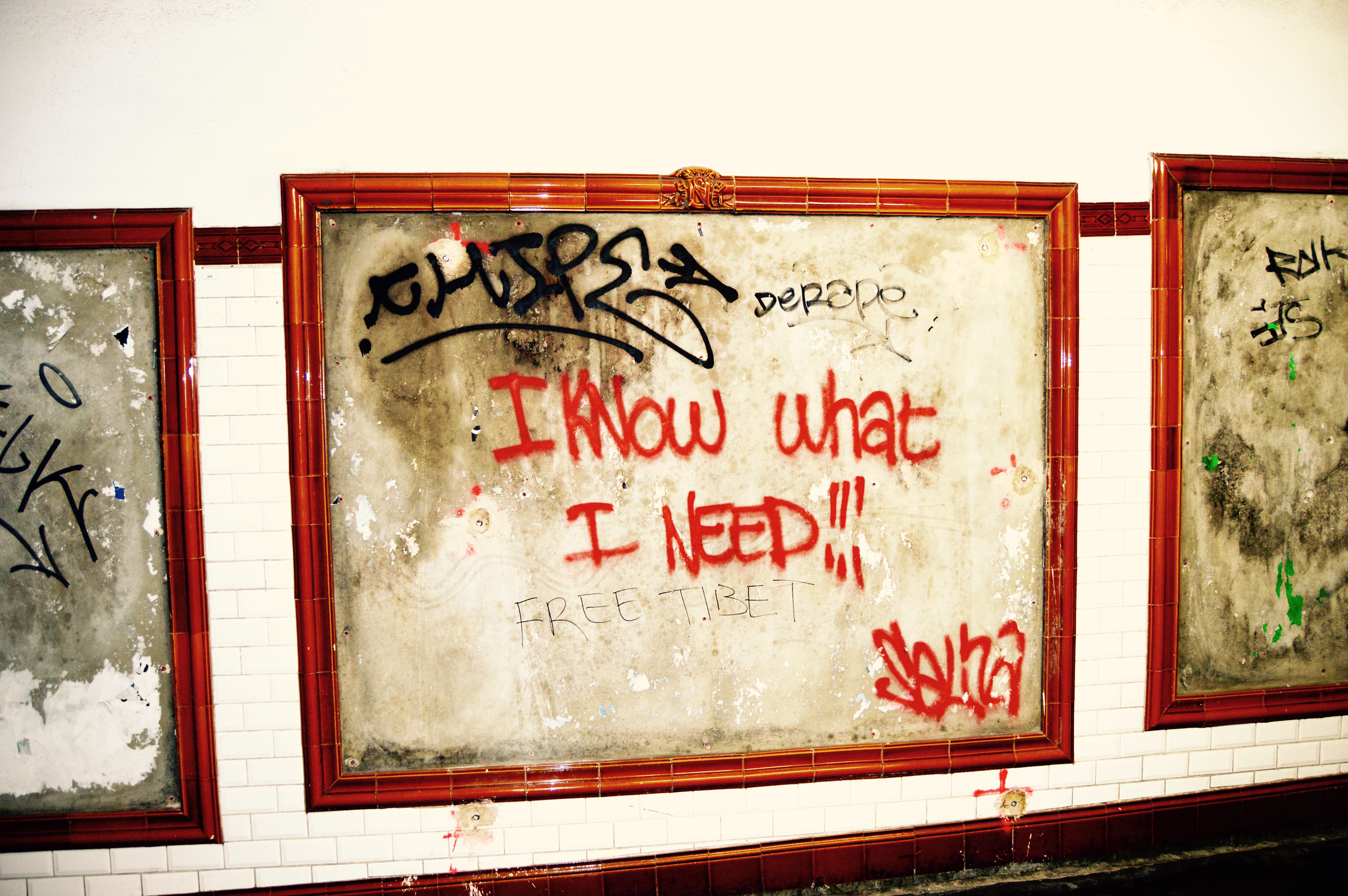 Media file: unmet_needs.jpg