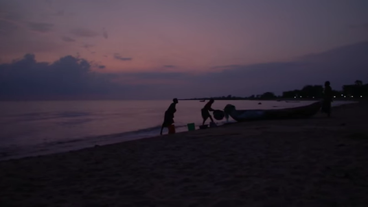 Image courtesy of Eleanor Bell and Will Fitzgibbon. Media file: screen_shot_2015-10-22_at_12.19.40_pm.png