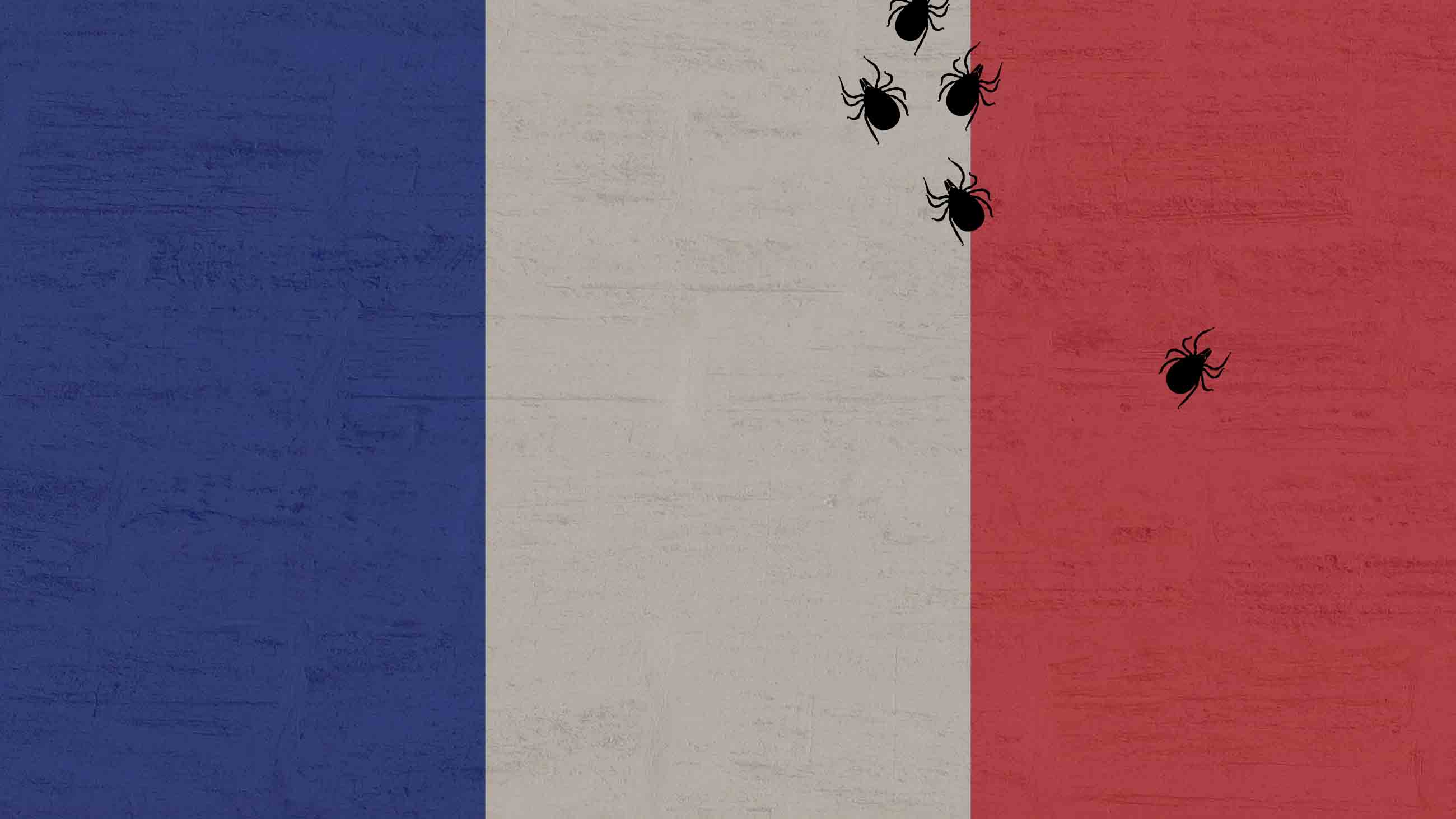 France sees fewer Lyme cases per year than Massachusetts despite a population ten times the size. Thanks, in part, to a highly active advocacy community, the French government has released one of the most detailed national plans to address the disease. But for advocates, it's still not enough. Image courtesy of Pixabay / Undark. France sees fewer Lyme cases per year than Massachusetts despite a population ten times the size. Thanks, in part, to a highly active advocacy community, the French government has released one of the most detailed national plans to address the disease. But for advocates, it's still not enough. Image courtesy of Pixabay / Undark.