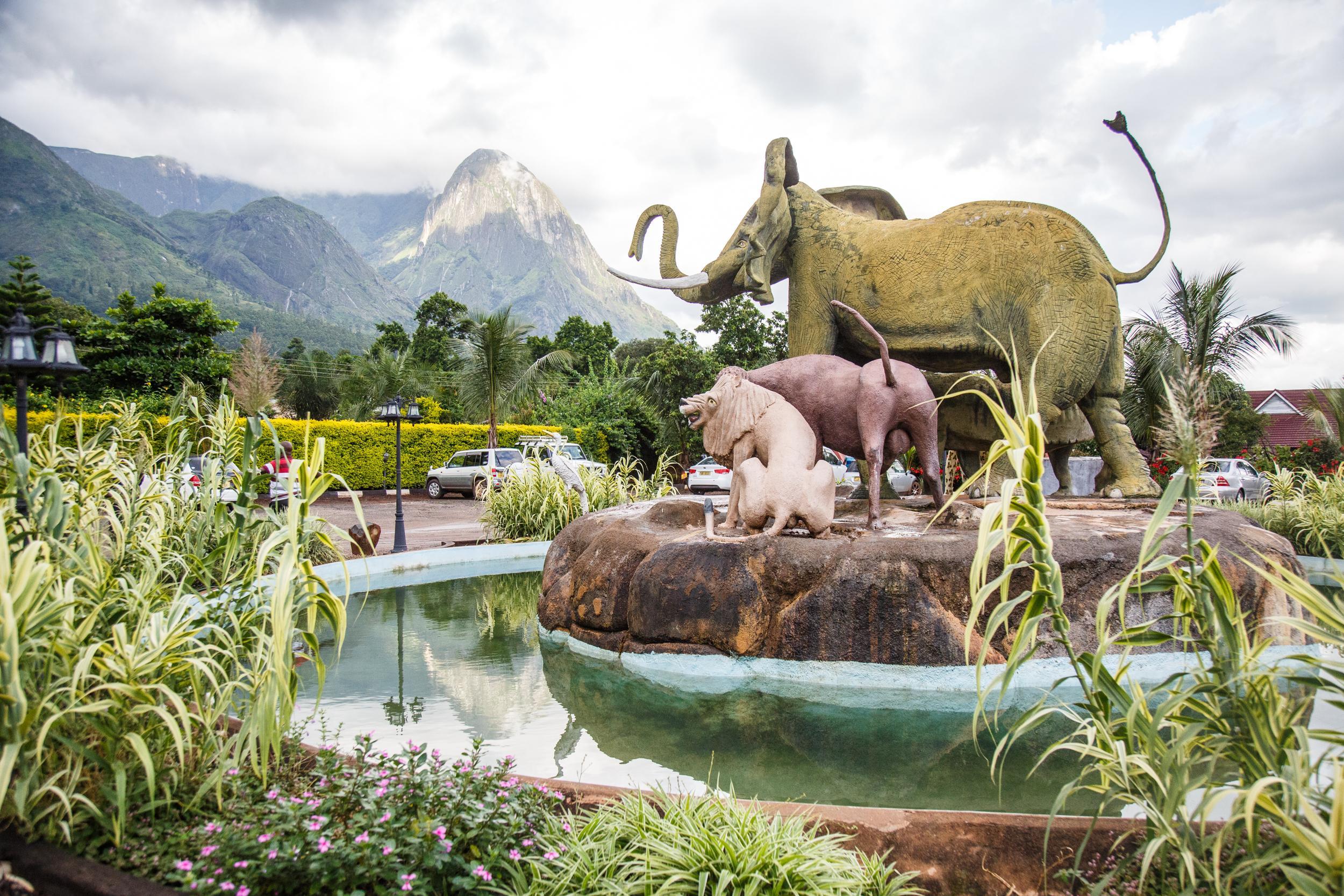 A statue of Africa’s ‘Big Five’ towers in front of the ‘Hapuwani Village Lodge’, a luxurious resort in Mulanje, in the south of Malawi. Image by Nathalie Bertrams. Malawi, 2017. A statue of Africa’s ‘Big Five’ towers in front of the ‘Hapuwani Village Lodge’, a luxurious resort in Mulanje, in the south of Malawi. Image by Nathalie Bertrams. Malawi, 2017.