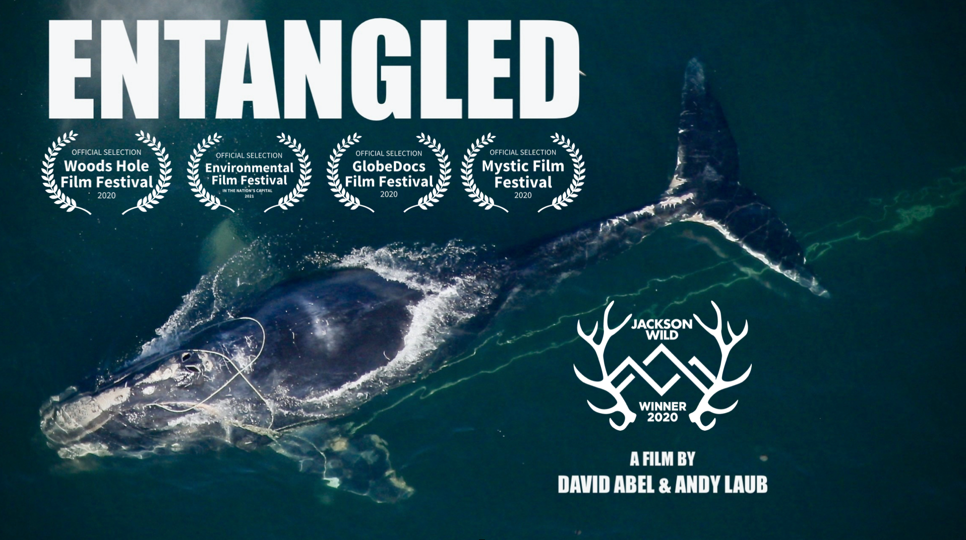 Image courtesy of David Abel and Andy Laub. Image courtesy of David Abel and Andy Laub.