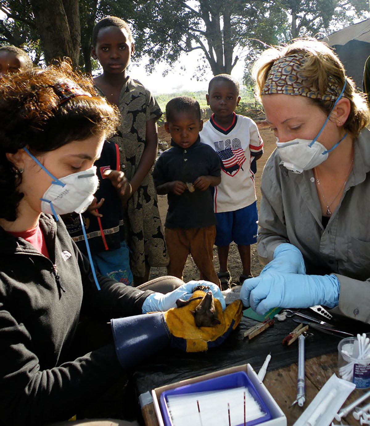 Tiziana Lembo (left) and Alison Peel take samples from bats while children watch in Morogoro, Tanzania. Image by Alexander Torrence. Tanzania. Tiziana Lembo (left) and Alison Peel take samples from bats while children watch in Morogoro, Tanzania. Image by Alexander Torrence. Tanzania.