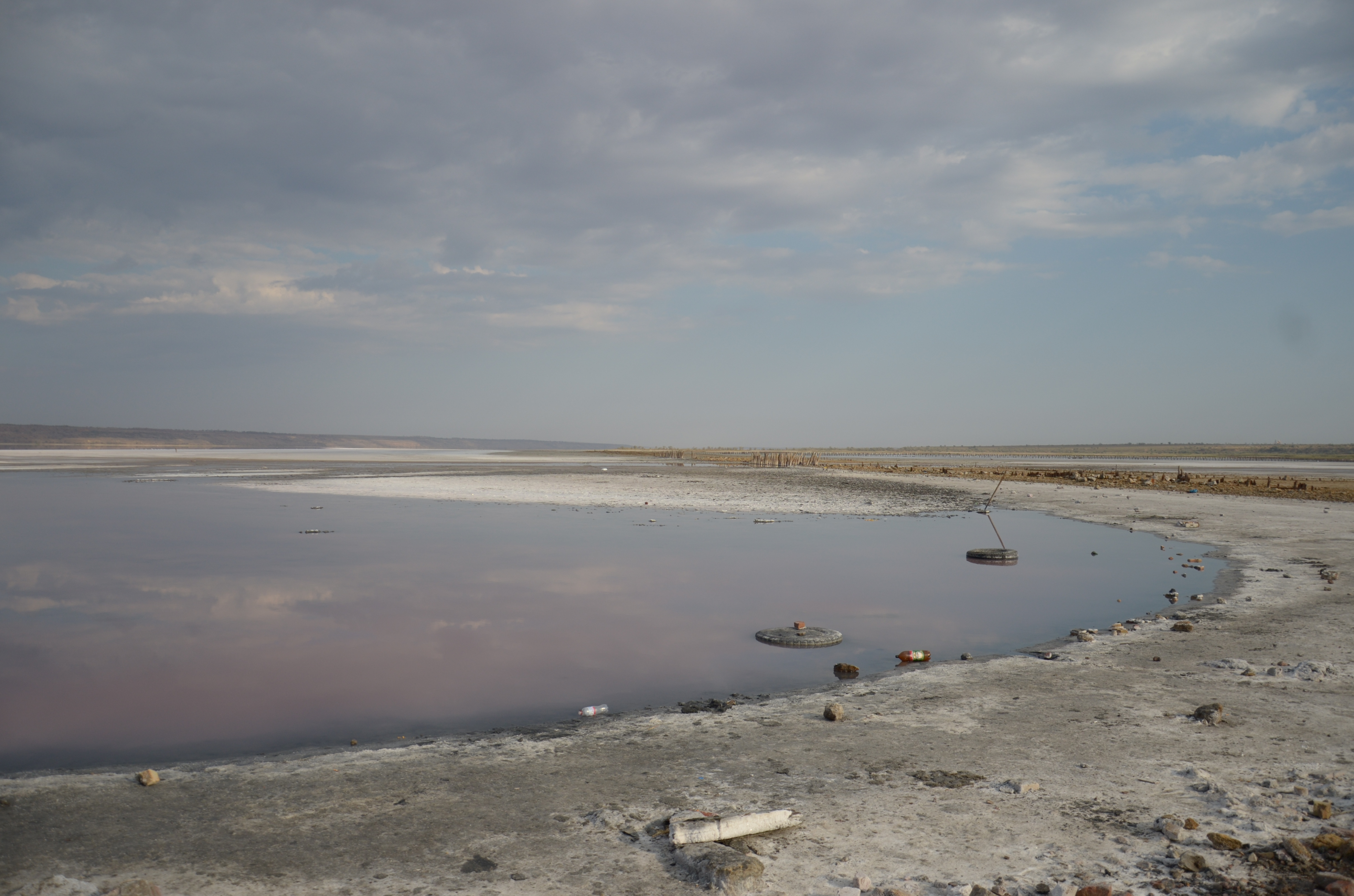 Meet The Journalist Dimiter Kenarov Pulitzer Center