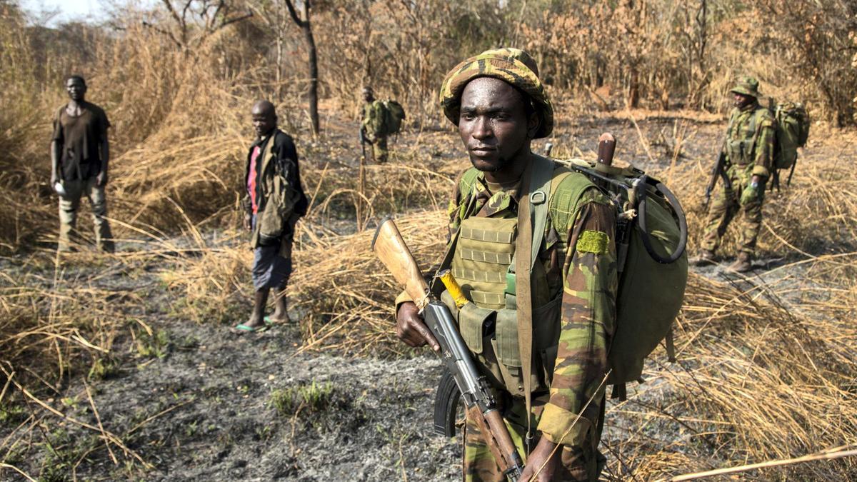 Sudanese Militias Moonlight As Poachers In Central African Republics Badlands Pulitzer Center 