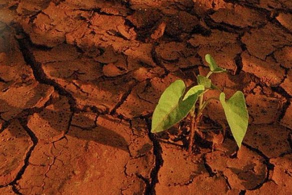 Climate experts fear catastrophe unless the world grapples with global warming without delay. Image by Daniel Grossman. 2016. Climate experts fear catastrophe unless the world grapples with global warming without delay. Image by Daniel Grossman. 2016.