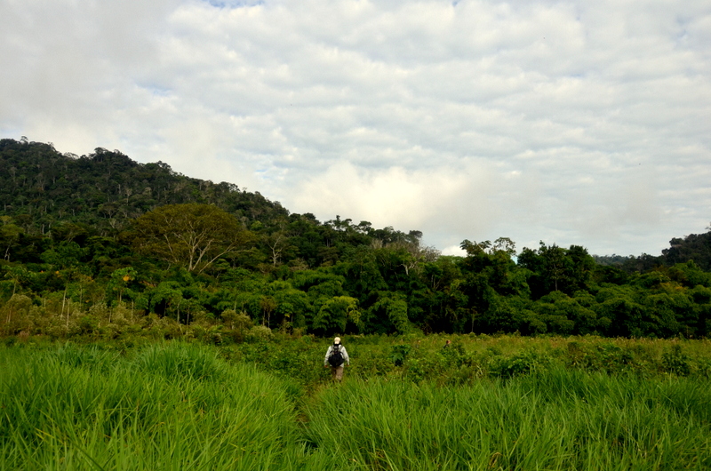 Image by Justin Catanoso. Peru, 2013. Media file: dsc_0743.jpg