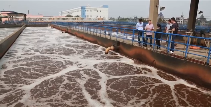 Screen shot from China Environmental Ethics video by Fred de Sam Lazaro. 2015.