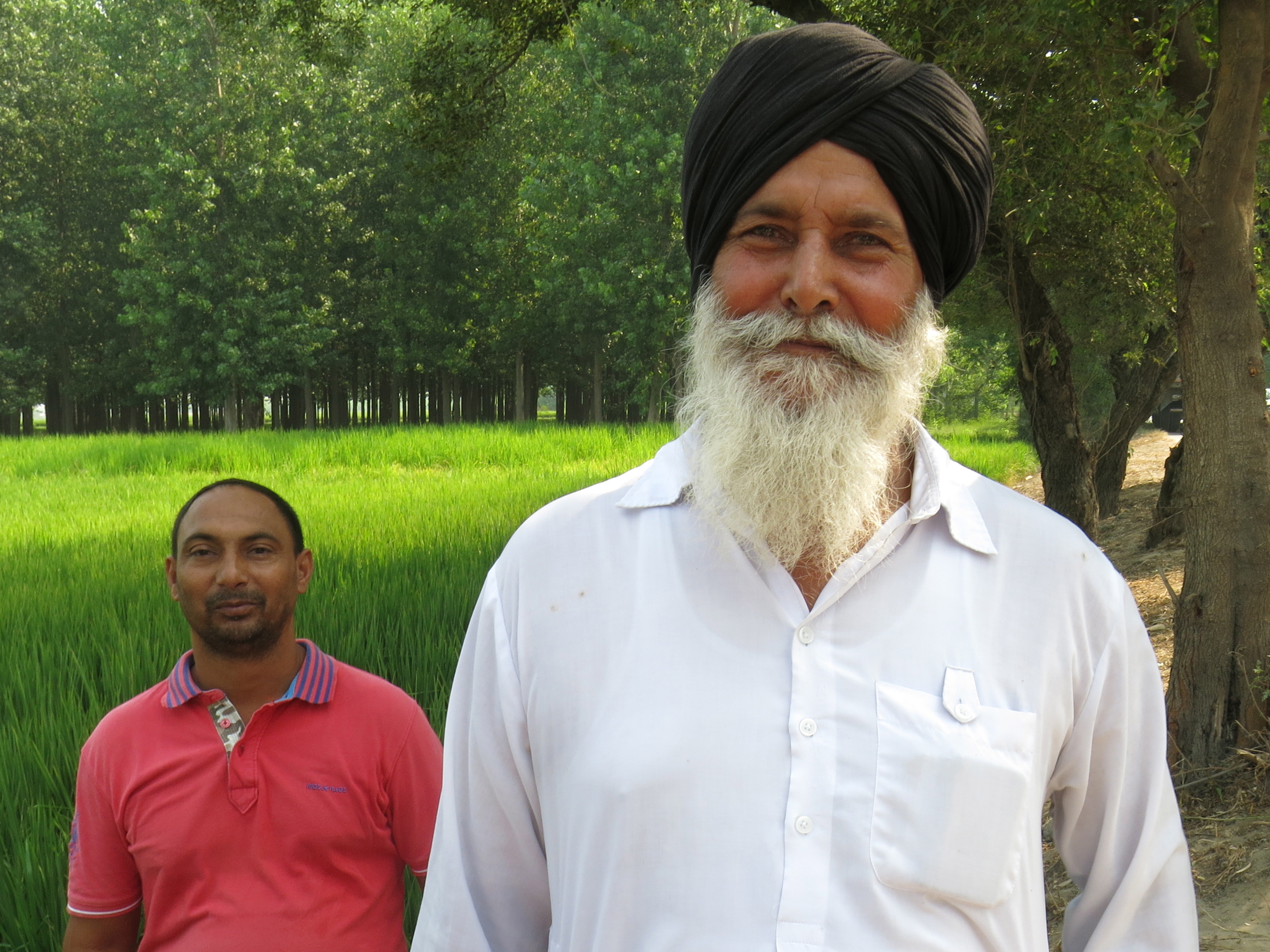 Joginder Singh, right, saves water by directly planting rice crop. Image by Lisa Palmer. India, 2015. Media file: img_1643.jpg