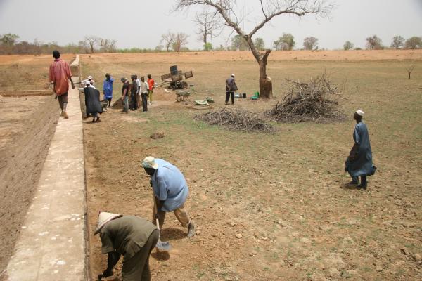 Residents of Djimebougou village in central Mali reinforce a wall that keeps scarce water on their dry fields in order to boost local food production. Image by Chris Arsenault. Mali, 2015. Media file: img_6359.jpg