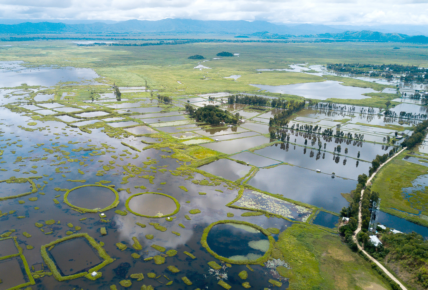A view of the areas around Loktak Lake that are inundated by floodwaters. Image by Neeta Satam. India, 2017. A view of the areas around Loktak Lake that are inundated by floodwaters. Image by Neeta Satam. India, 2017.