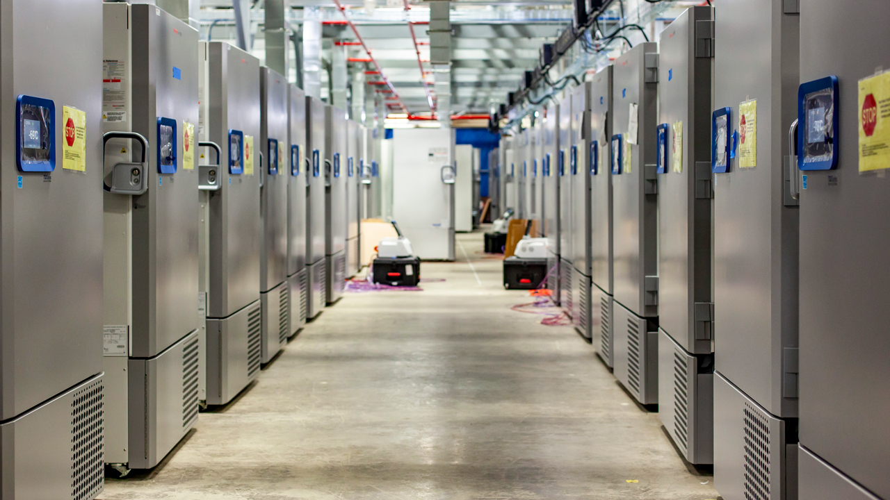 Pfizer has constructed this freezer “farm” in Kalamazoo, Michigan, to store its COVID-19 vaccine at temperatures below –70°C. Image courtesy of Pfizer. United States, 2020. Pfizer has constructed this freezer “farm” in Kalamazoo, Michigan, to store its COVID-19 vaccine at temperatures below –70°C. Image courtesy of Pfizer. United States, 2020.