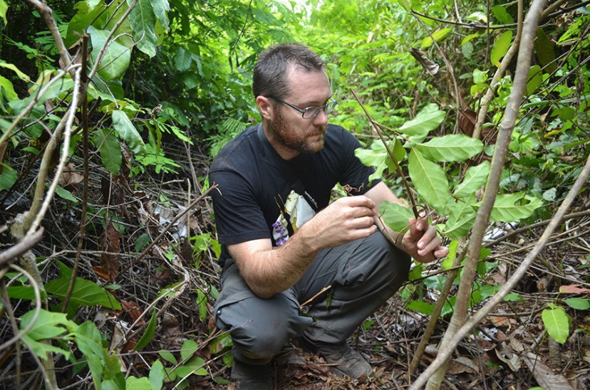 This Is How Costa Rica Almost Doubled The Size Of Its Rainforests In A  Generation