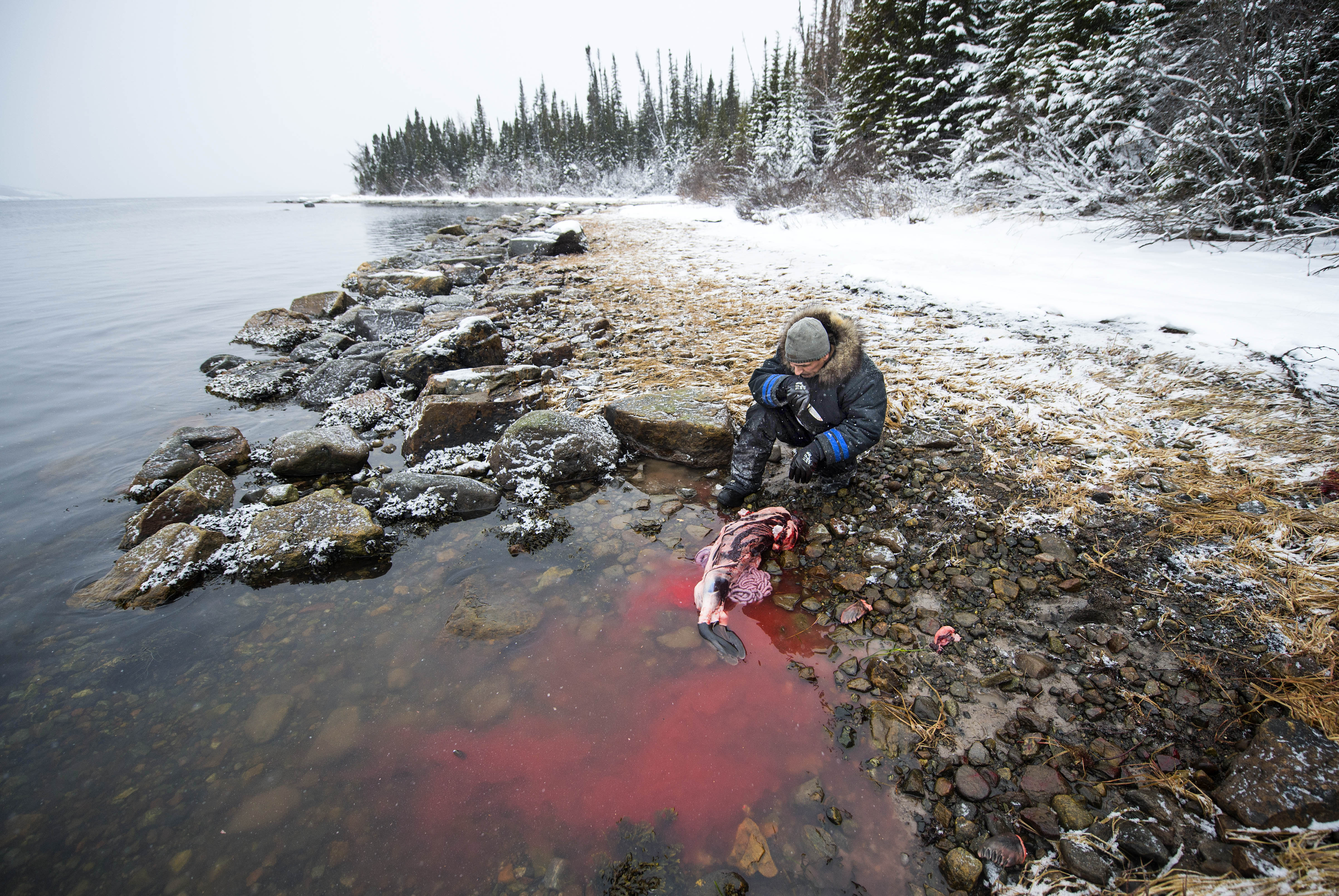 In an Isolated Inuit Community, Concern Is Strong Over Water Toxins From  Hydropower Expansion