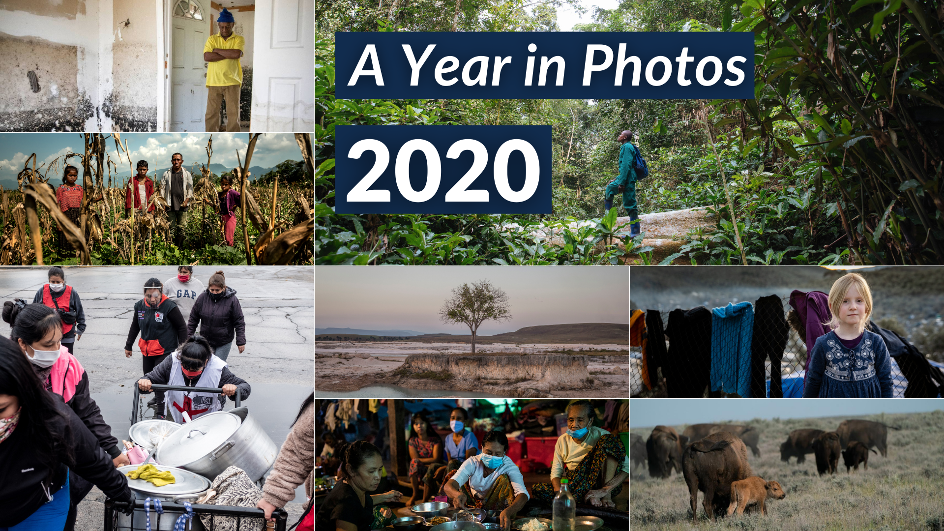 2020: A Year in Photos 2020: A Year in Photos
