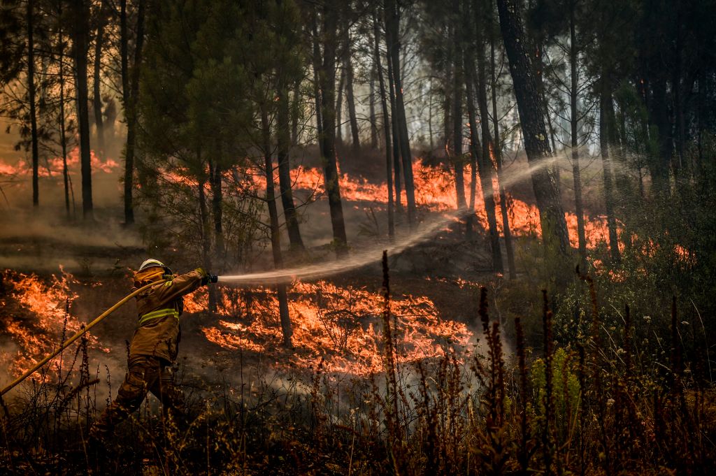 A firefighter tries to extinguish a wildfire in the village of Casais de Sao Bento in Macao in central Portugal. Image by Patricia De Melo/ AFP via Getty Images. Portugal, 2017. A firefighter tries to extinguish a wildfire in the village of Casais de Sao Bento in Macao in central Portugal. Image by Patricia De Melo/ AFP via Getty Images. Portugal, 2017.