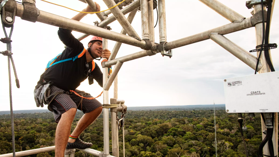 Researcher Delano Campos scales an 80-meter tower at the Amazon Tall Tower Observatory to collect air samples and maintain instruments. Image by Victor Moriyama. Brazil, 2019. Researcher Delano Campos scales an 80-meter tower at the Amazon Tall Tower Observatory to collect air samples and maintain instruments. Image by Victor Moriyama. Brazil, 2019.