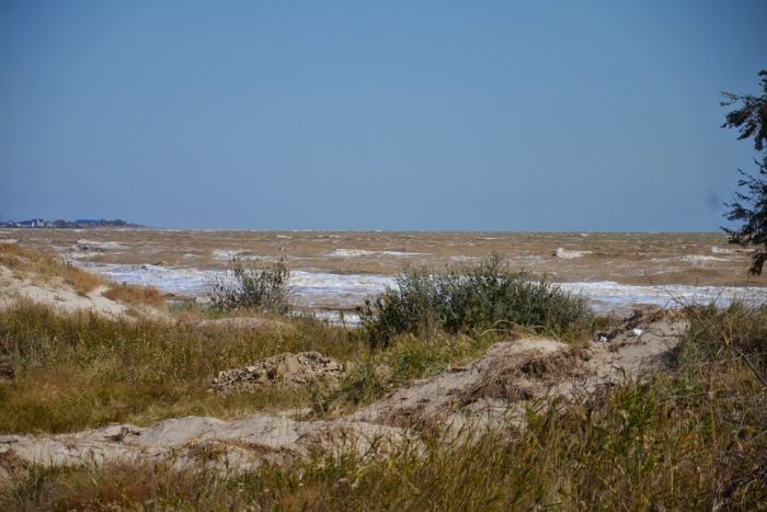 The Azov Sea at Priazovskii National Park. Image by Dimiter Kenarov. Ukraine, 2014. Media file: 5939332-3x2-700x467.jpg