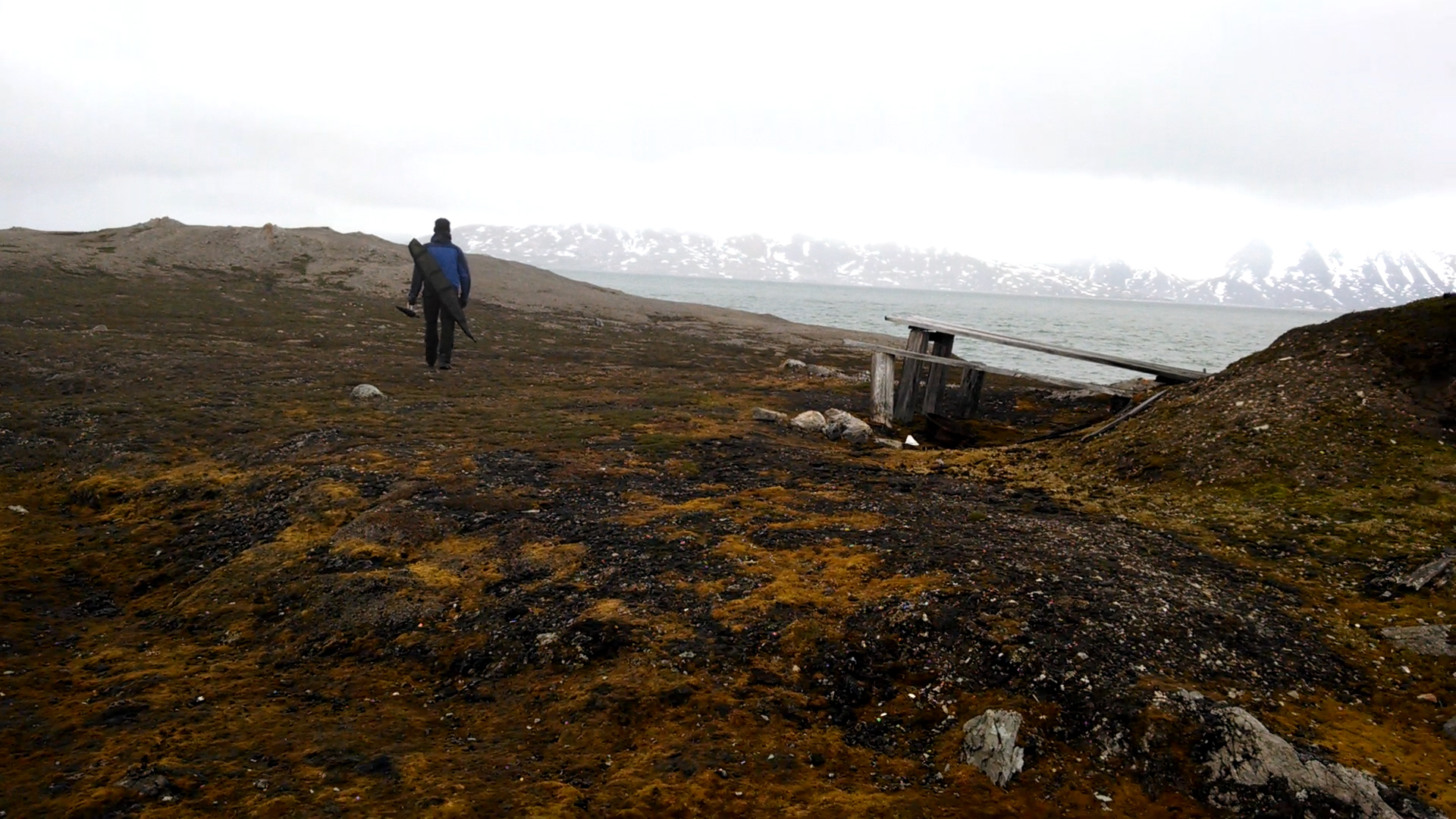 Image by Eli Kintisch. Norway, 2015.