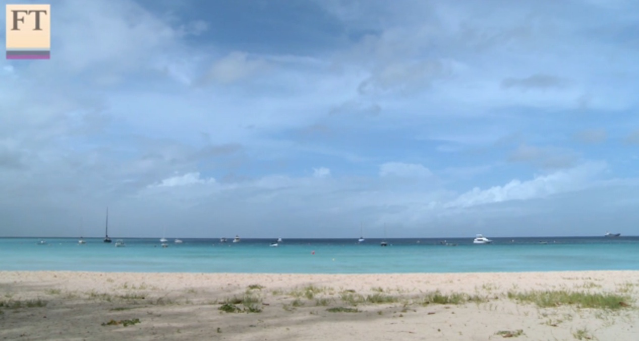 Image by Robin Wigglesworth. Jamaica, 2013. Media file: wigglesworth4.jpg