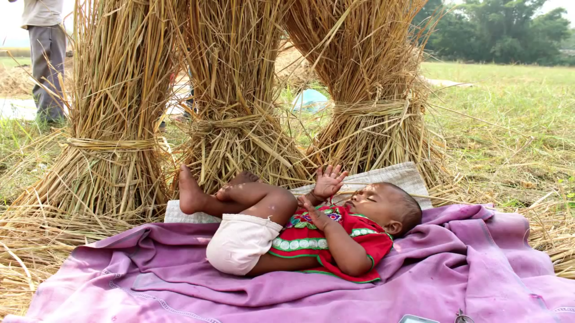 Still image courtesy Roger Thurow. India, 2015. Still image courtesy Roger Thurow. India, 2015.