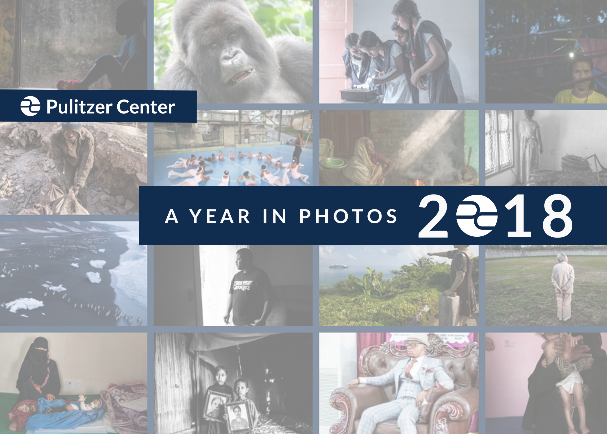 A Year in Photos 2018. Graphic designed by Karena Phan. A Year in Photos 2018. Graphic designed by Karena Phan.