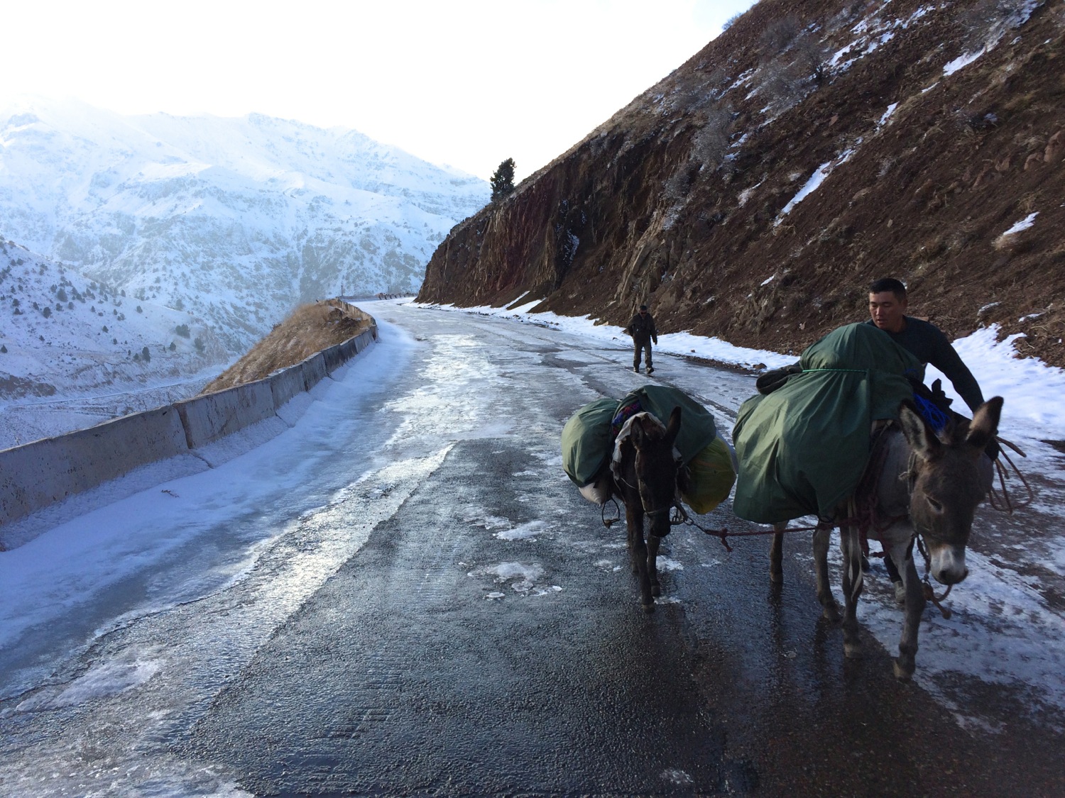Guides and mules carefully work their way up an icy road in eastern Uzbekistan. Image by Paul Salopek. Uzbekistan, 2016. Out of Eden Walk team treks Uzbekistan back roads and mountain paths