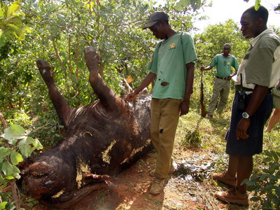 Image by Jeffrey Barbee. Zimbabwe, 2006. Images of Zimbabwe