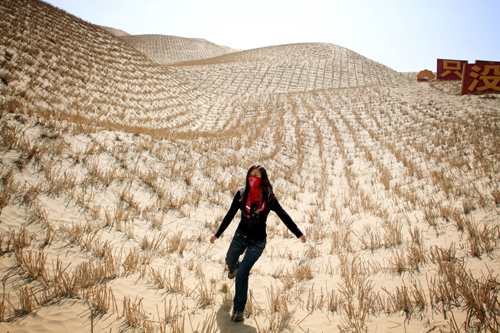 Along the tarim-desert highway, swathes of sand-fixing plants have been planted in an effort to stabilize the soils and stop the sands moving. 1