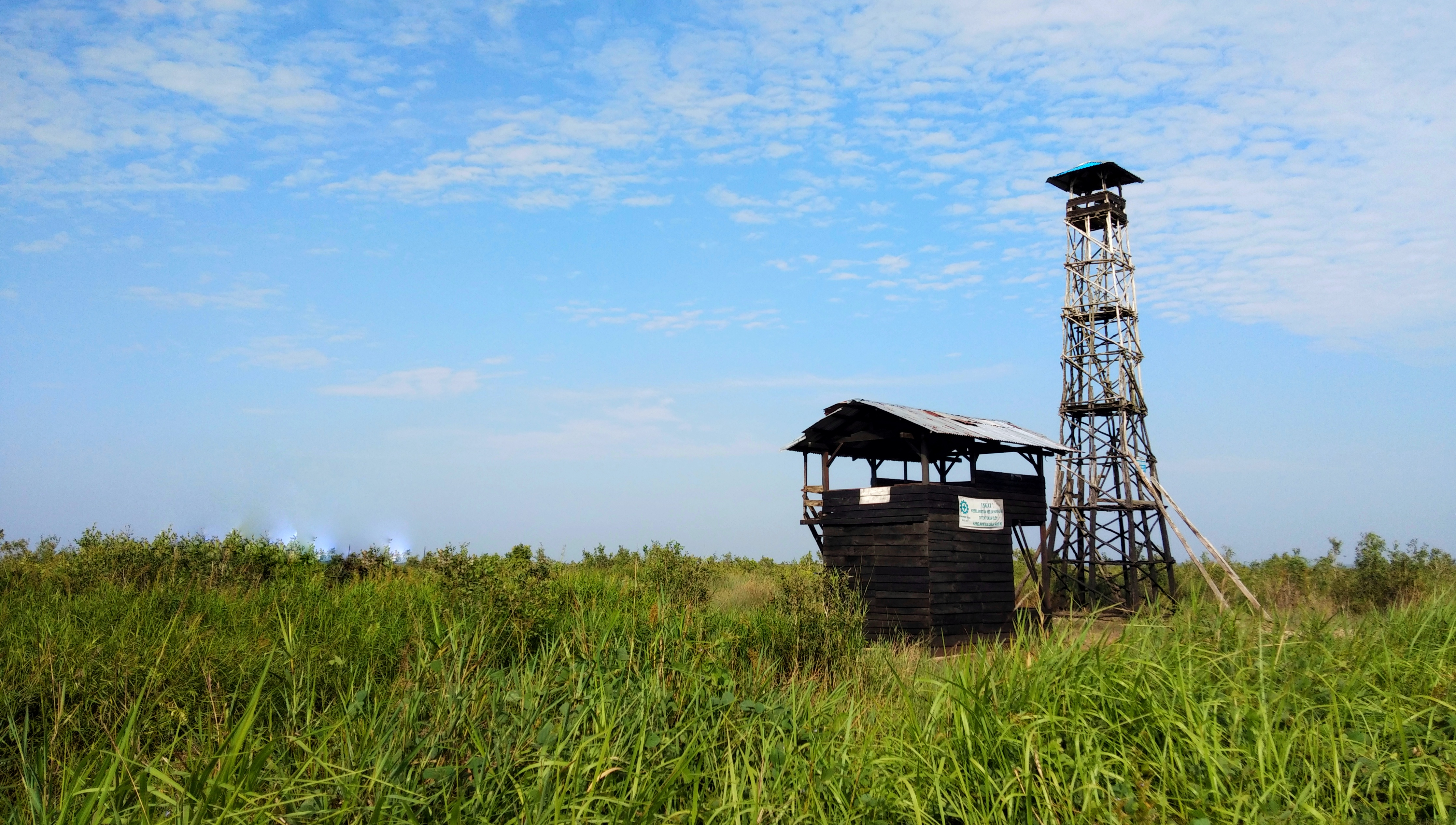 Fire tower guarding over peatland. Image by Slamet Mulyadi/Shutterstock. Indonesia, 2019. Fire tower guarding over peatland. Image by Slamet Mulyadi/Shutterstock. Indonesia, 2019.