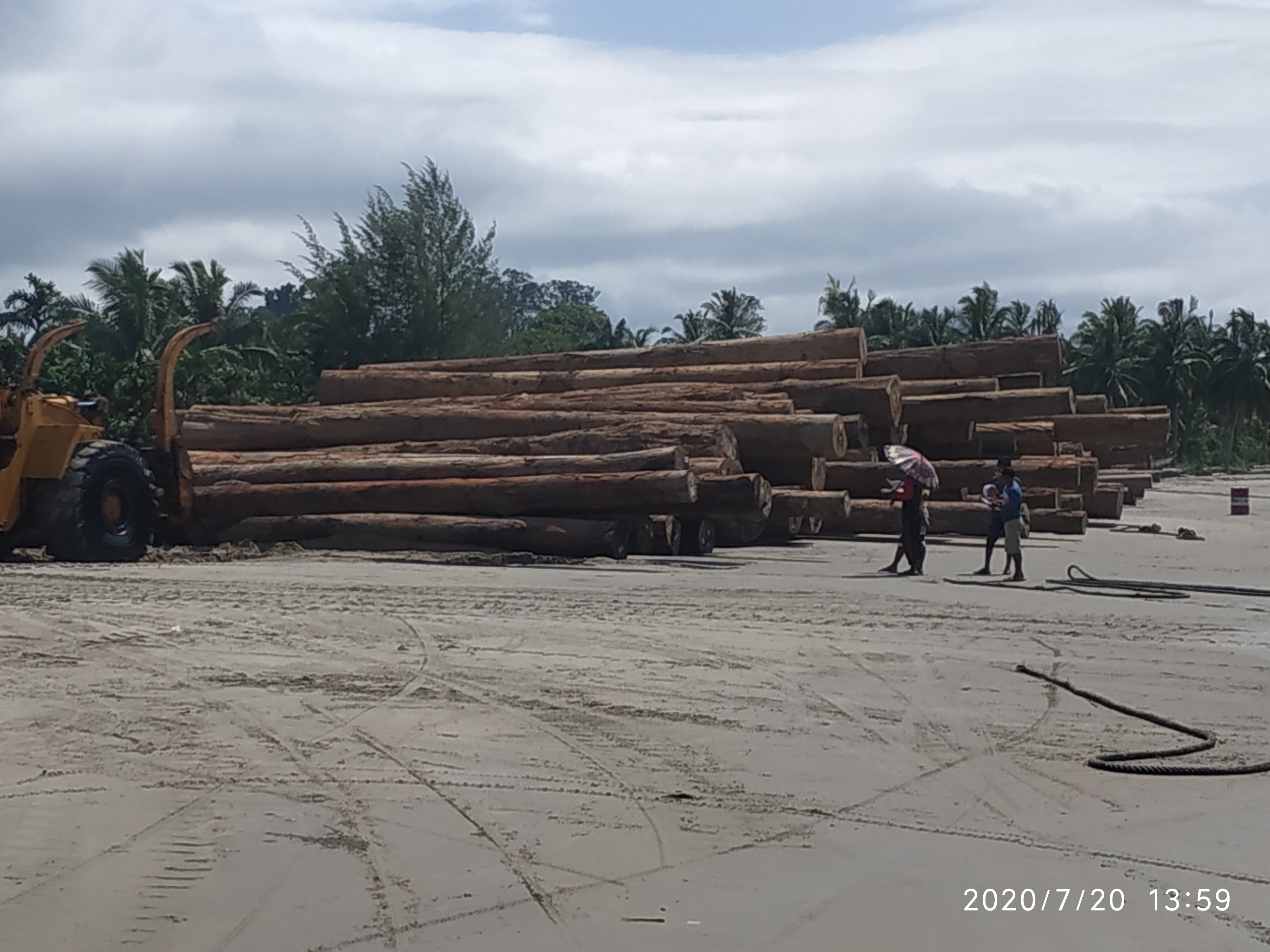 The loading activity of HPH logs from one of the companies on Tinitit Beach, Siberut Island, Mentawai Islands, West Sumatra last July. Image by Febrianti. Indonesia, 2020. The loading activity of HPH logs from one of the companies on Tinitit Beach, Siberut Island, Mentawai Islands, West Sumatra last July. Image by Febrianti. Indonesia, 2020.