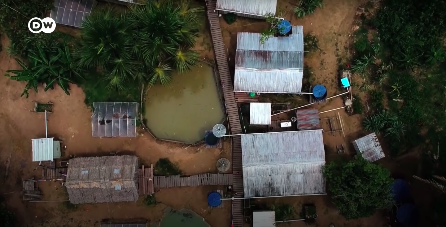 Com um passado de trabalho análogo à escravidão, ex-seringueiros se organizam e viram fornecedores importantes da indústria de cosméticos. Um exemplo de como lucrar diretamente com uma Amazônia preservada. Imagem cortesia de DW Brasil.
