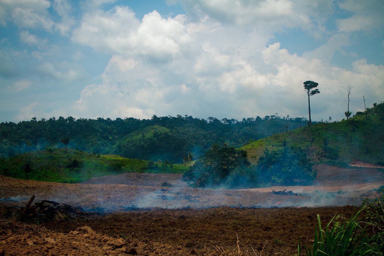 sao felix do xingu.png Deforestation on the livestock farm in the municipality of São Félix do Xingu, in Pará. Image by Marcio Isensee/Shutterstock. Brazil, date unknown.
