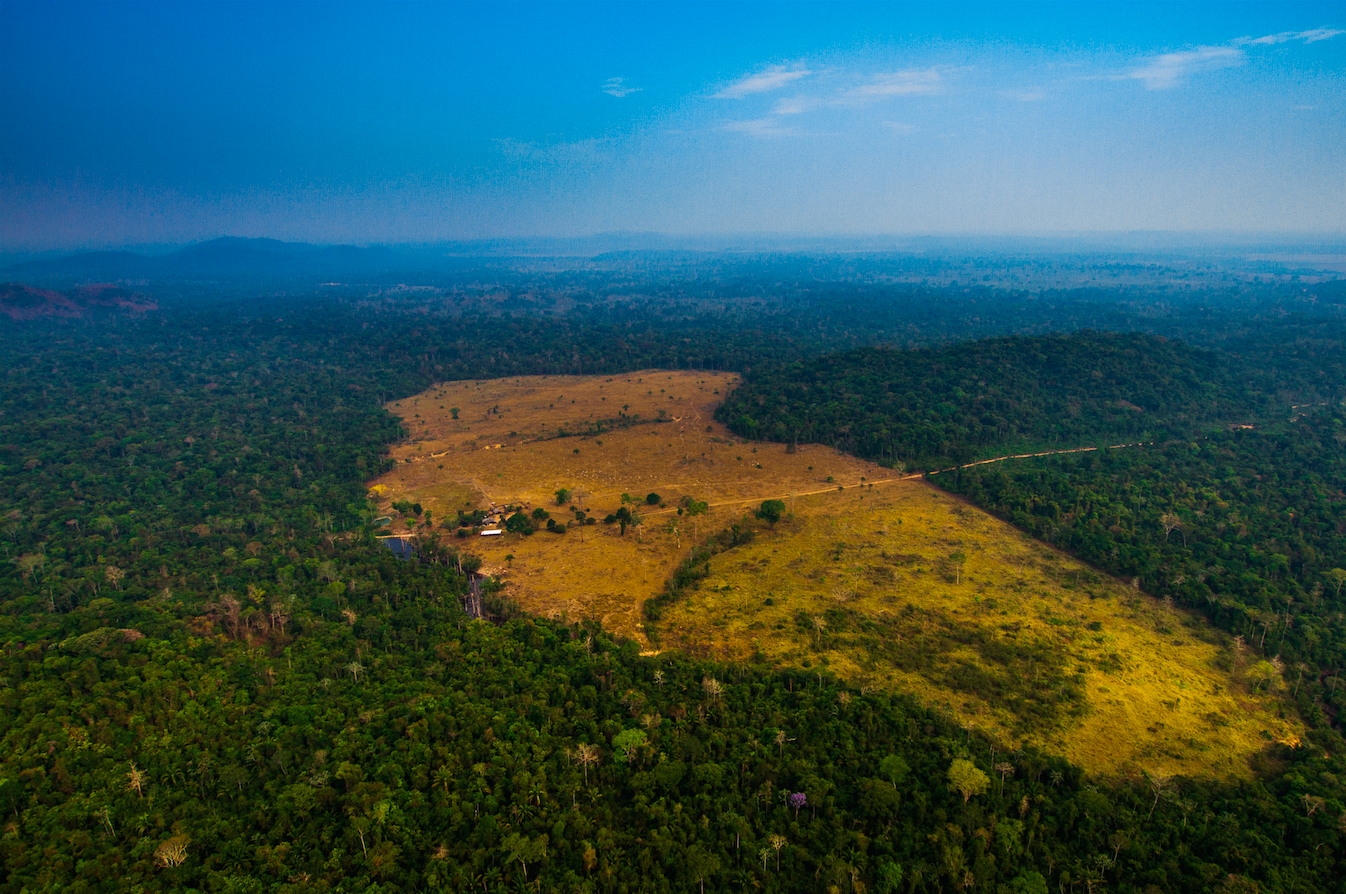 Pasture areas derived from illegal deforestation near the Menkragnoti Indigenous Land in Pará. Image by Marcio Isensee/Shutterstock. Brazil, date unknown. Pasture areas derived from illegal deforestation near the Menkragnoti Indigenous Land in Pará. Image by Marcio Isensee/Shutterstock. Brazil, date unknown.