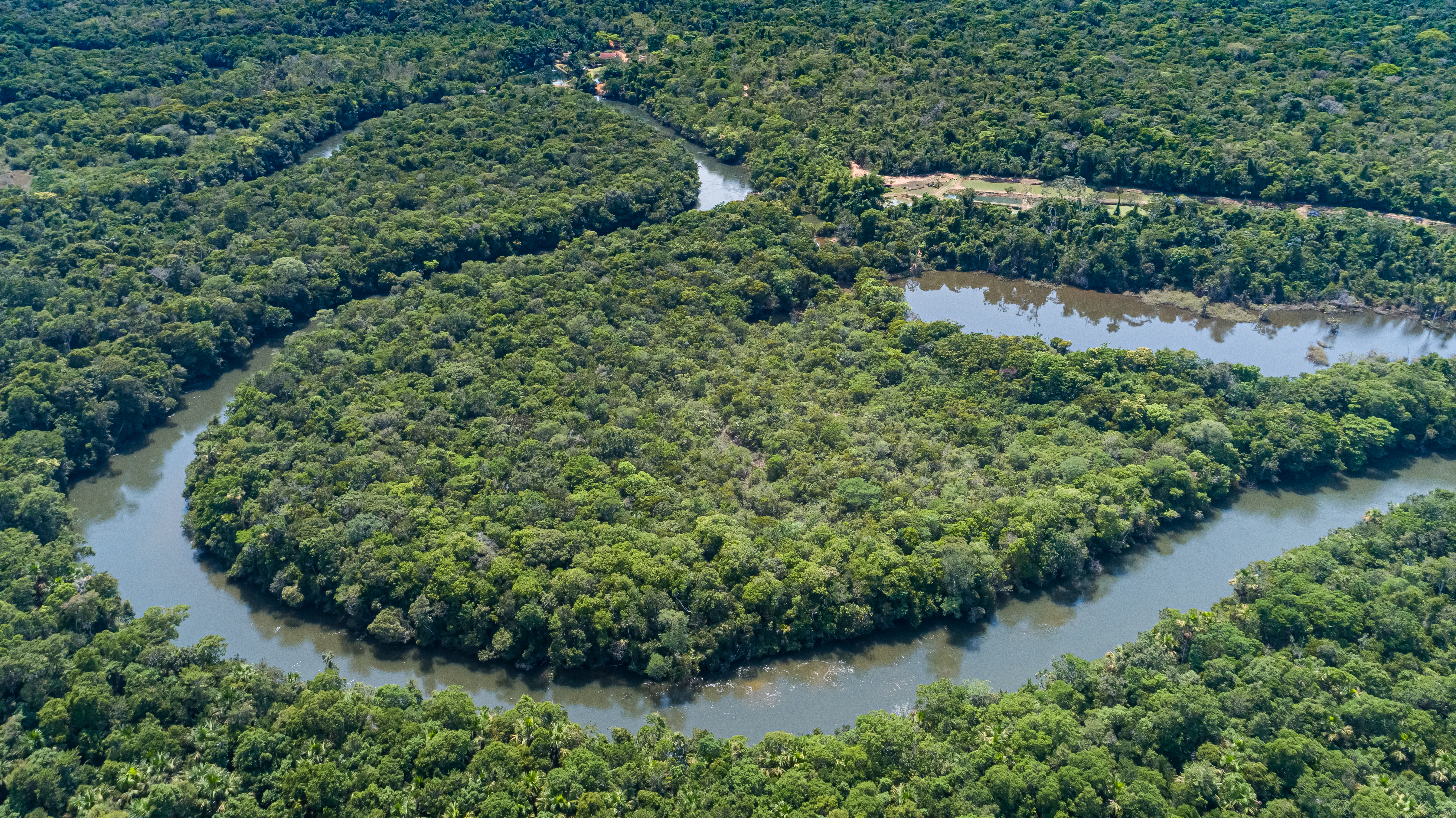 shutterstock_1516479035.jpeg Aerial view of a meandering Amazon tributary river