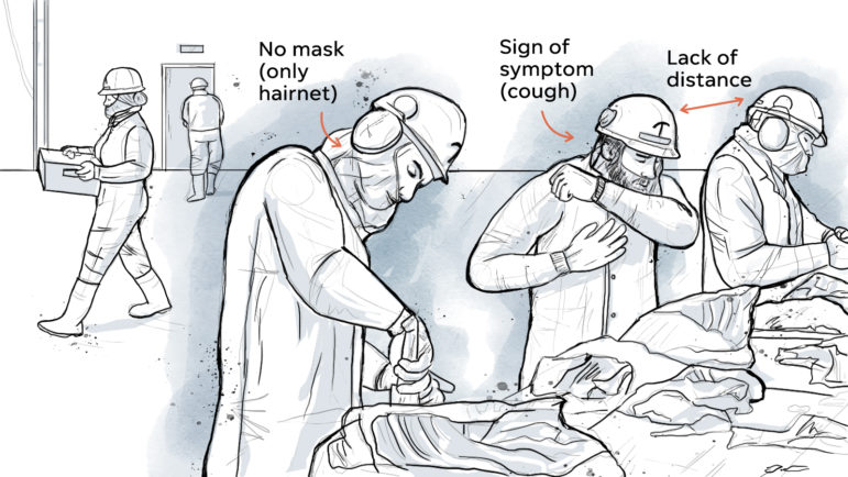 A black and white illustration of three meatpacking workers lined up at a table with carving up cow carcasses. One is not wearing a mask, the next is coughing into his elbow, and the final man is too close to the worker next to him.