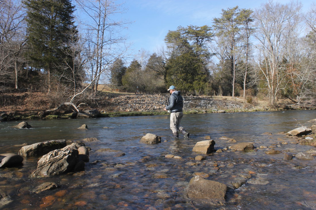 Stocked Species Spotlight: Eastern Brook Trout - Freshwater