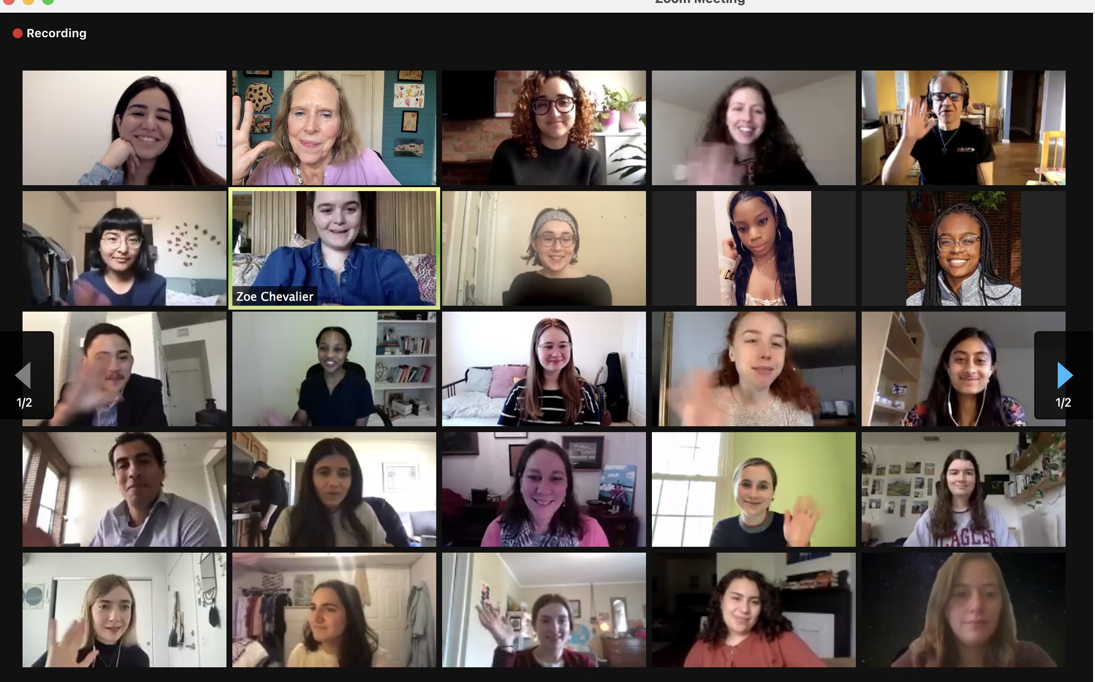 A Zoom screenshot of the reportig fellows who attended the 2021 mini conference