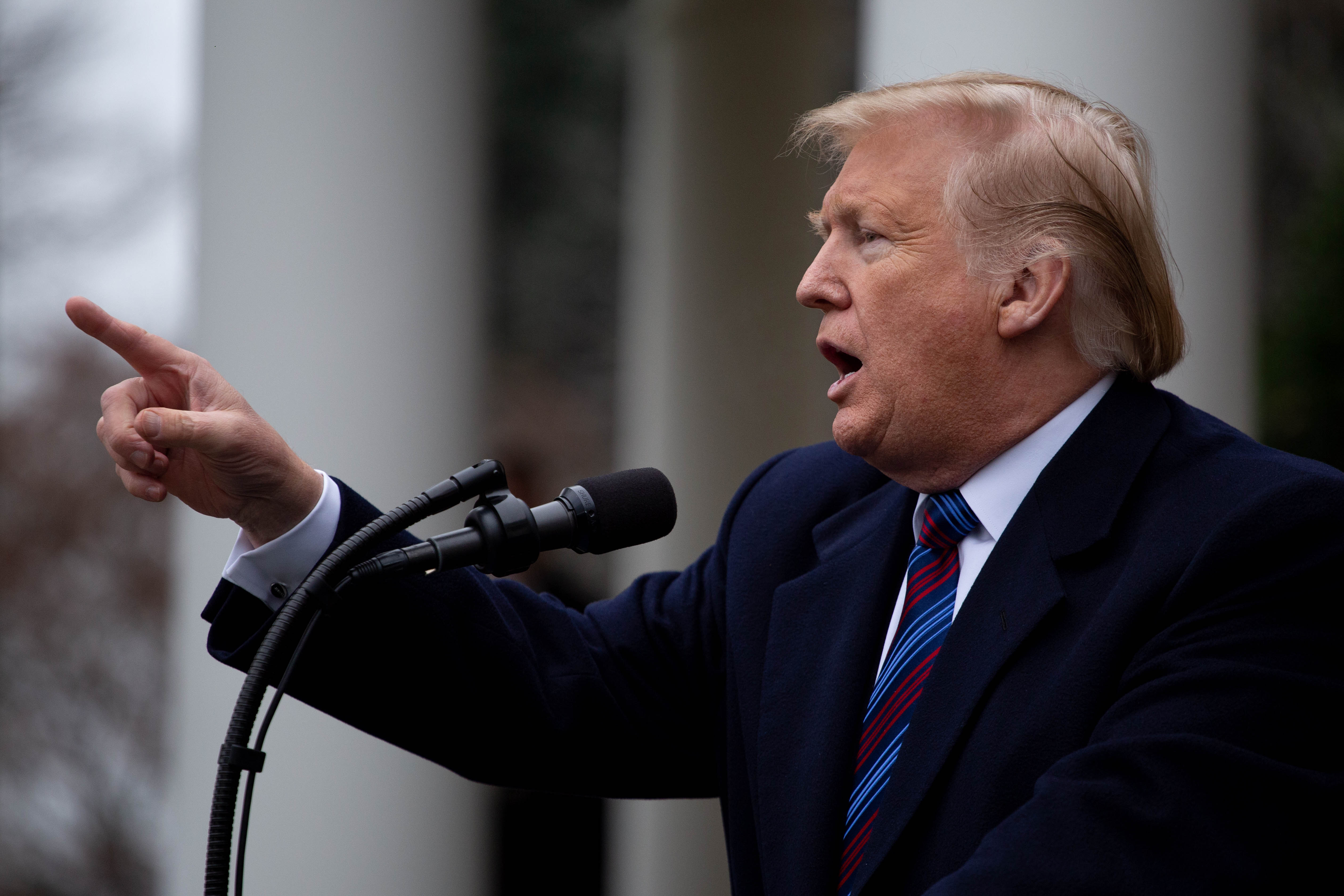 shutterstock_1276349383.jpg President Donald Trump speaks to the media in the Rose Garden at the White House.