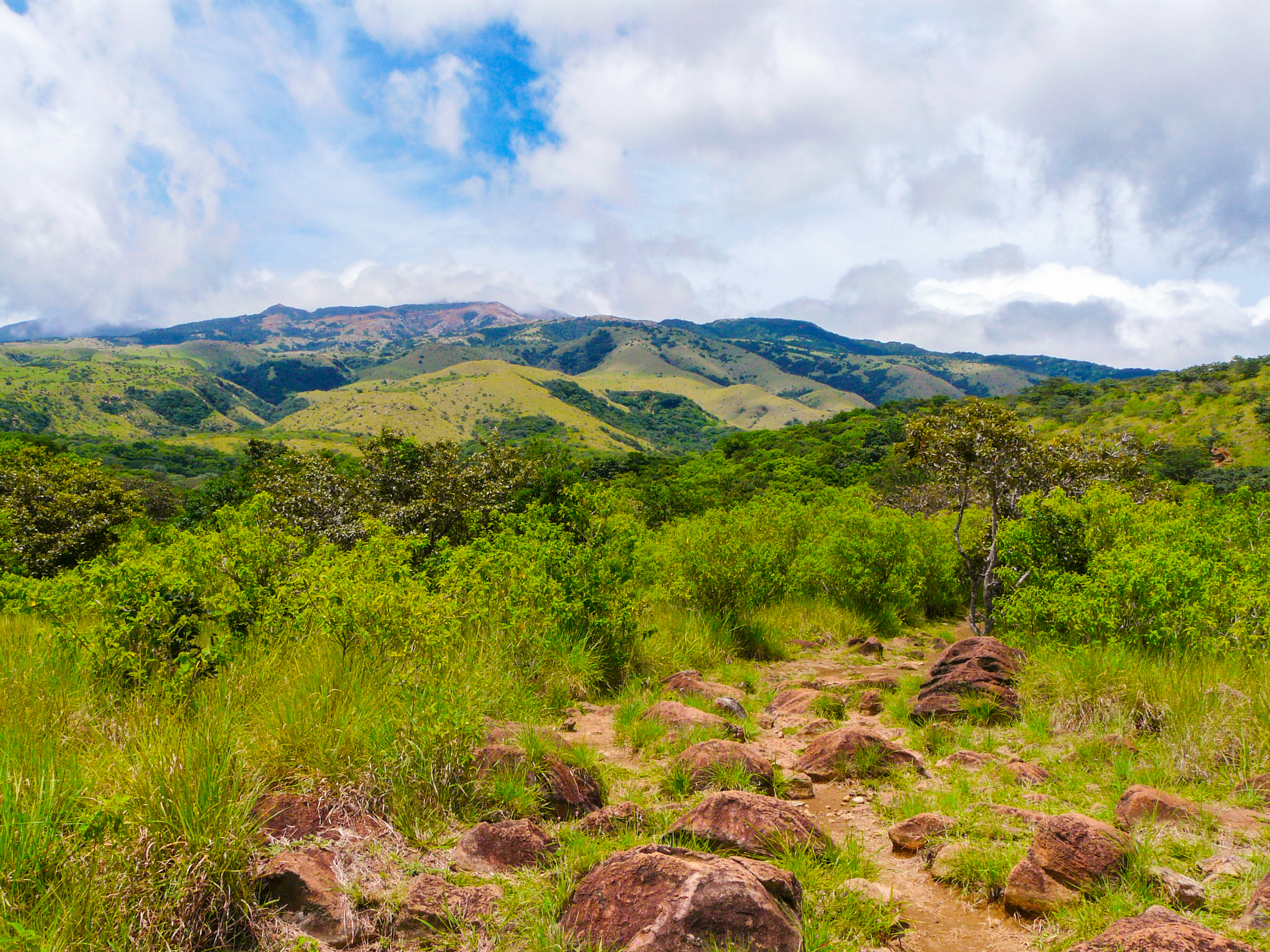 shutterstock_418654108.jpeg Green landscape in a national park.